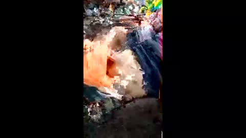 alagatorsnappnturtle671235 online show from 04/18/26, 01:15