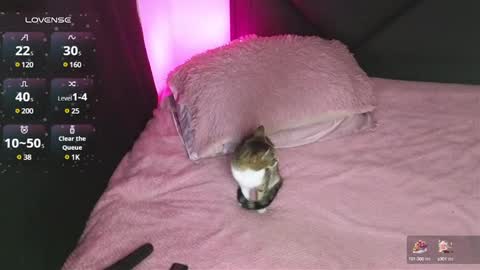 Snapshot of alahia_demon chatting on 01/15/25, 02:17 alahia online show from 01/15/25, 02:17