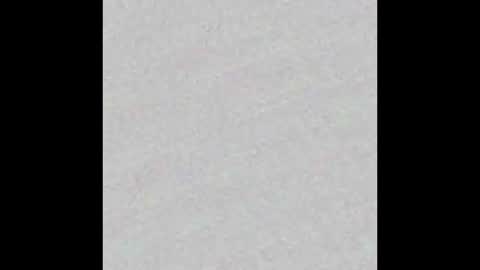 Alaia online show from 11/10/25, 11:20