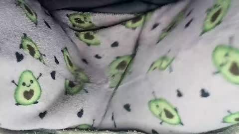 Alejandra online show from 06/29/26, 11:38