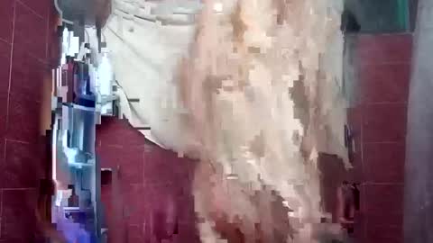alejandrochao84 online show from 10/05/25, 05:17