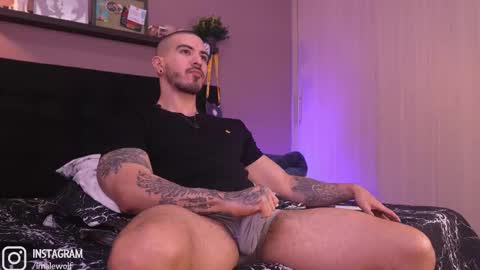 Snapshot of alejo_wolf chatting on 02/10/26, 01:32 Alejo online show from 02/10/26, 01:32