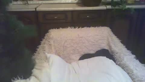 Luly online show from 01/05/25, 03:00