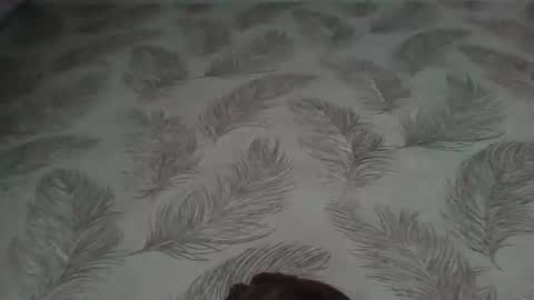 Aletta Oushen online show from 01/12/25, 11:17