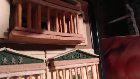 Alex Amazing online show from 01/28/25, 09:08