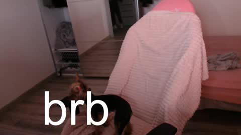 Alex online show from 09/21/25, 09:27