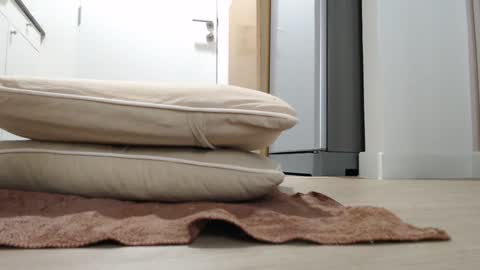 Nicha online show from 10/18/25, 03:20