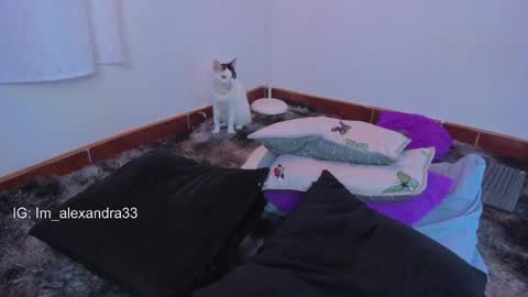 alexa_will online show from 03/31/26, 02:13