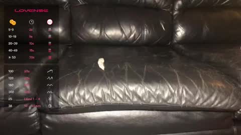 Alex  John online show from 12/21/24, 05:14