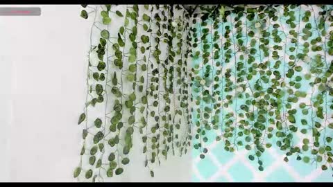 chicos hot online show from 11/18/25, 02:21