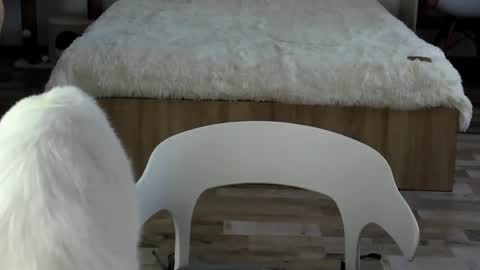 Snapshot of alexarti chatting on 02/19/26, 04:30 Alex online show from 02/19/26, 04:30