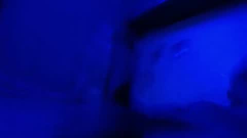 alexboy5014 online show from 05/17/26, 01:25