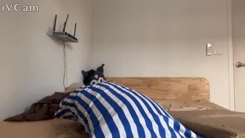 Snapshot of alexfilmx chatting on 10/16/25, 07:31 alexfilmx online show from 10/16/25, 07:31