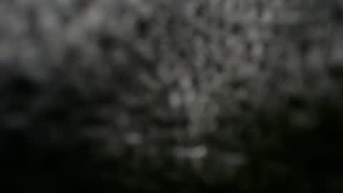 Doggystyle online show from 03/08/25, 12:11