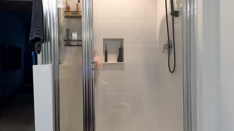 Alexi online show from 01/09/25, 12:41