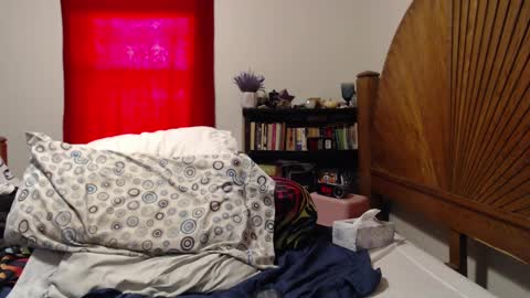 Snapshot of alexisandtherest chatting on 02/25/25, 03:05 Alexis online show from 02/25/25, 03:05