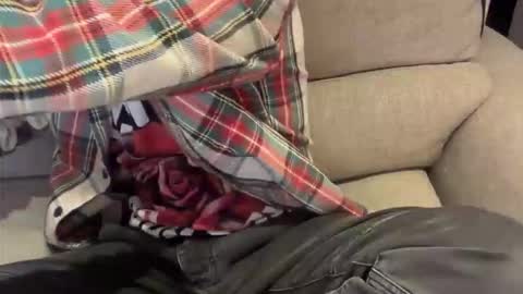 alexthetree online show from 04/20/26, 07:26