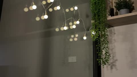 Alex online show from 01/23/25, 06:17