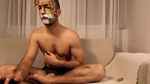 Snapshot of alfadreamer0011 chatting on 02/17/25, 11:31 alfadreamer0011 online show from 02/17/25, 11:31