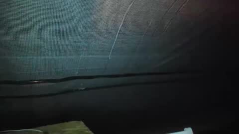 alfiesolomons87 online show from 09/09/25, 02:11