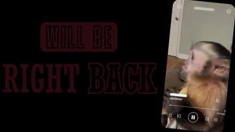 Snapshot of alice_sofia chatting on 03/02/26, 01:07 Sofia online show from 03/02/26, 01:07