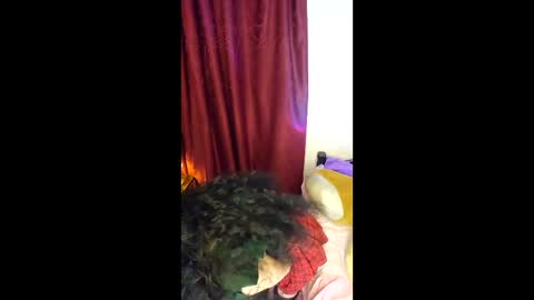 Alicekingdom online show from 02/08/26, 12:03