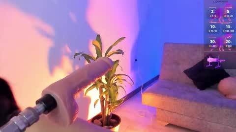 Alicee  online show from 01/16/26, 09:41