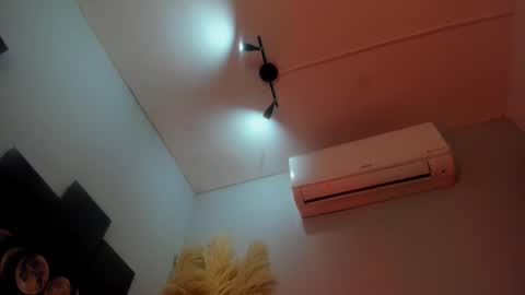 ALICE  online show from 11/15/25, 01:14