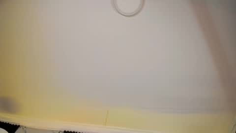 ALICE  online show from 02/18/26, 06:53