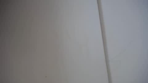 Ali online show from 02/17/25, 12:05