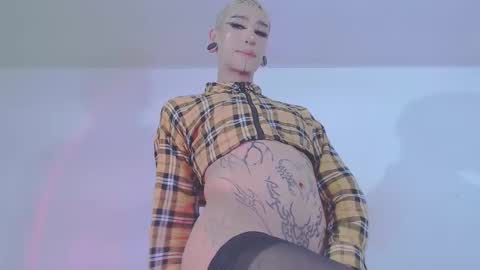     online show from 02/11/26, 08:58