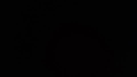     online show from 03/26/26, 07:41