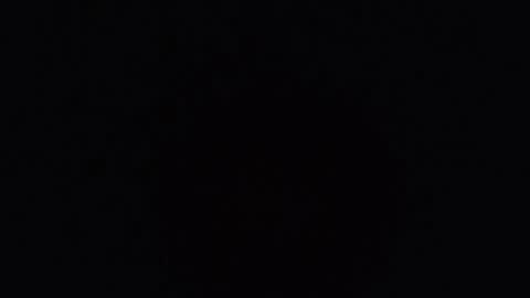     online show from 04/08/26, 06:41