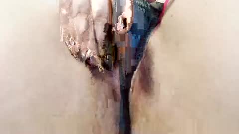 alisesexydoll777 online show from 01/13/26, 04:56