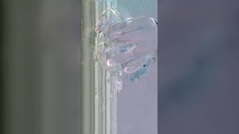 alisherof online show from 01/13/26, 11:15