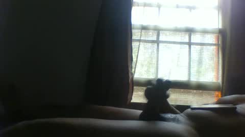 allbermy online show from 11/11/25, 06:08