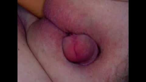 Growing Wiener online show from 03/04/26, 08:59