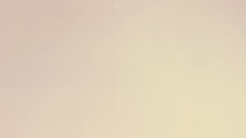    online show from 12/01/25, 10:53