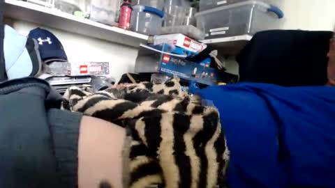 allwolf0323 online show from 03/13/26, 09:32