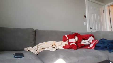 Snapshot of allylove2626 chatting on 09/09/25, 04:39 allylove2626 online show from 09/09/25, 04:39