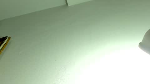 Snapshot of allyroux chatting on 04/09/26, 12:32 Ally online show from 04/09/26, 12:32