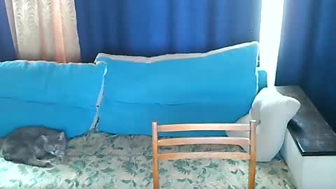 almirsex online show from 06/28/26, 09:15
