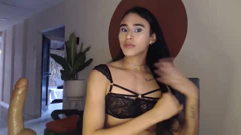 STEPHAN  online show from 12/16/25, 11:59