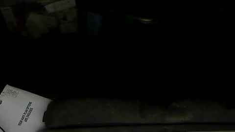 Loooopy online show from 02/01/25, 11:58