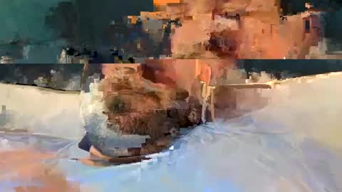 alpachino7777 online show from 02/19/25, 05:27