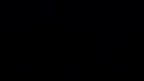 Snapshot of alphandre chatting on 04/14/26, 08:48 AlphAndre online show from 04/14/26, 08:48