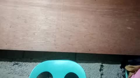 altheahot_asian online show from 12/19/24, 11:57