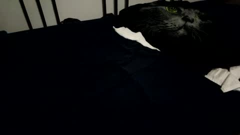 amadeusz online show from 12/06/24, 10:19