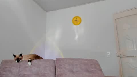 Tammy online show from 02/15/25, 08:54