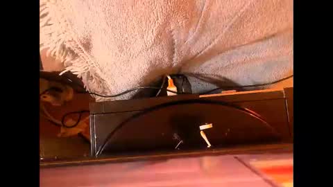 amazingmelons online show from 05/30/26, 05:10
